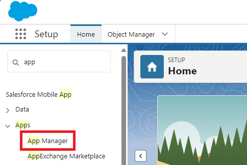 Salesforce App Manager